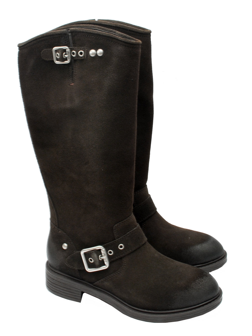Stivale Donna Ash Freesia Suede Africa Ai26