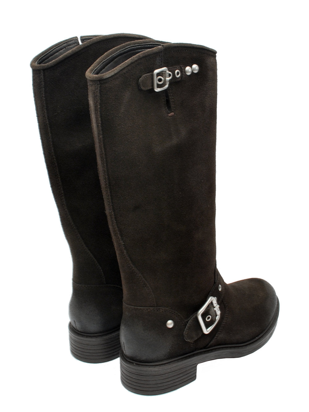 Stivale Donna Ash Freesia Suede Africa Ai26